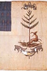 Bucks of America Flag